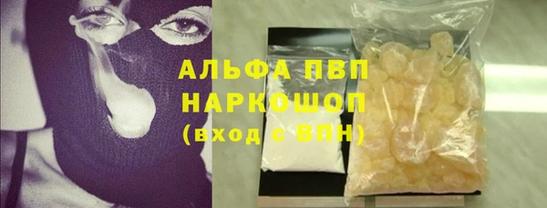 прущие грибы Лиски