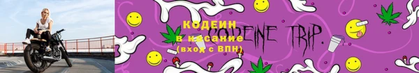 прущие грибы Лиски