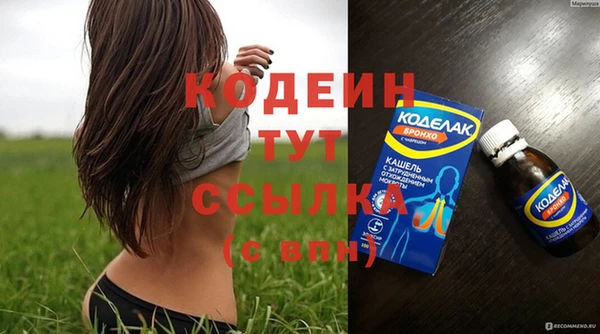 Альфа ПВП Лагань