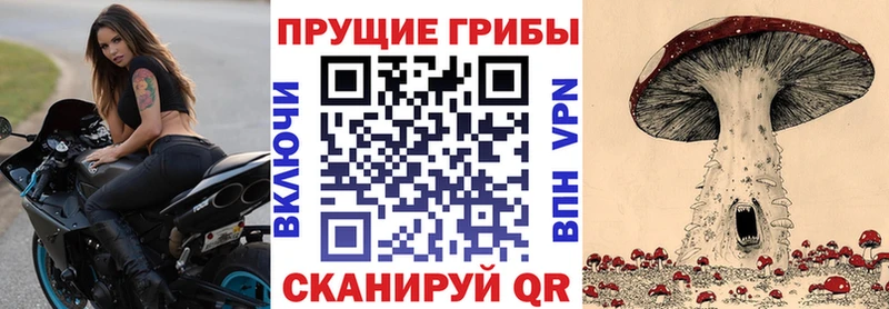 Галлюциногенные грибы Cubensis  Мичуринск 