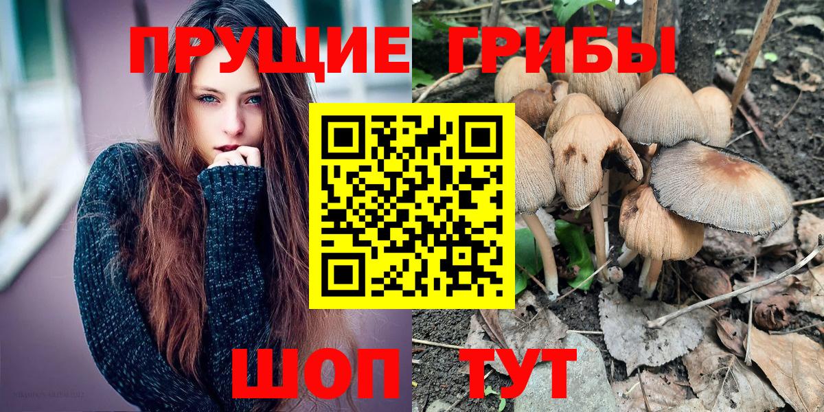 Галлюциногенные грибы мухоморы  Вход с VPN  Мичуринск 